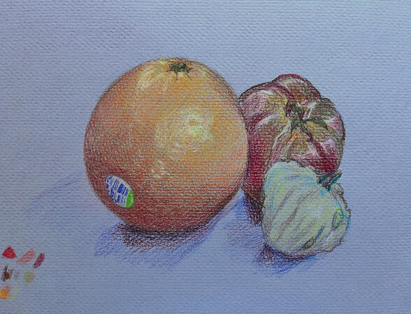 Colour study Pencil crayon on midtone paper. For Foundation Drawing I: Observational Drawing