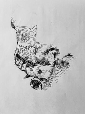 Corduroy study Ink on bond. For Foundation Drawing I: Observational Drawing